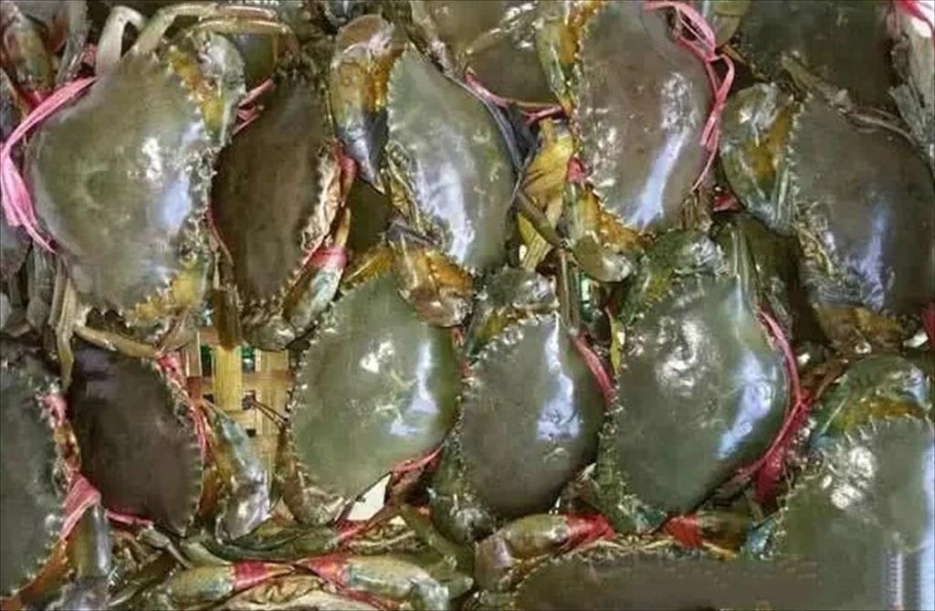 Five-month crab exports to China skyrocket by 502%